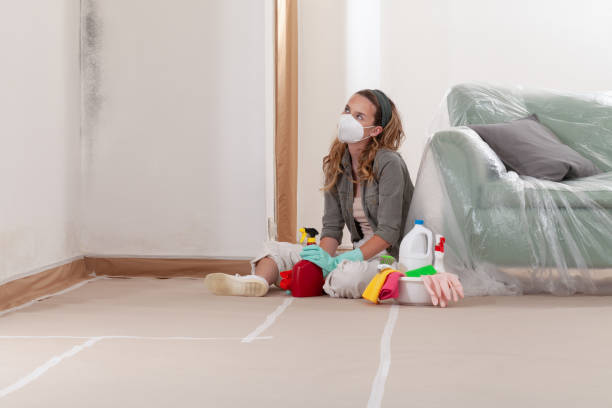Reliable Mold Removal contractor in Hudson, NC by WQB Mold Removal